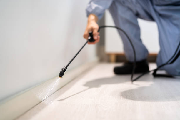 Rodent Entry Point Assessment in Flowood