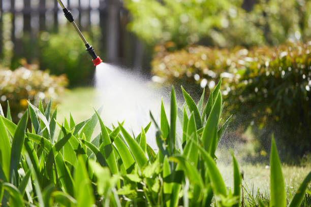 Tamper-Resistant Bait Stations for Rodents in Flowood