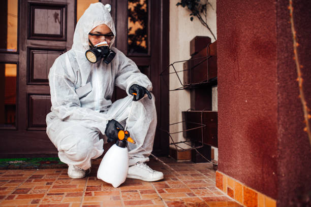 Attic and Crawl Space Rodent Treatment in Flowood